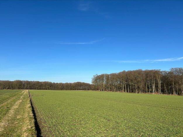 Land-/Forstwirtschaft zum Kauf 22.010 m² Grundstück Syke 28857