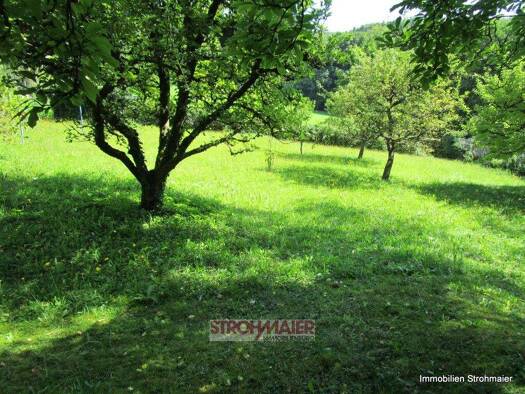 Grundstück zum Kauf 317.000 € 970 m² Grundstück Hersbruck 91217