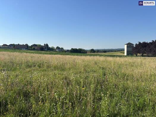 Grundstück zum Kauf 270.000 € 981 m² Grundstück Am Wiesengrund Lieboch 8501