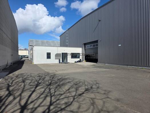 Lagerhalle zur Miete provisionsfrei 2.545 m² Lagerfläche teilbar ab 2.545 m² Friesenheim/Nord Ludwigshafen am Rhein 67063