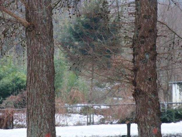 Wohnung zum Kauf 295.000 € 4 Zimmer 91 m² frei ab sofort Bad Schwartau 23611