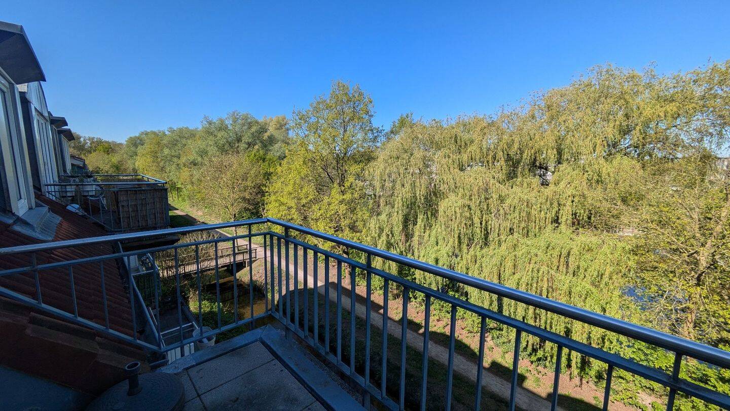 Property thumbnail 8