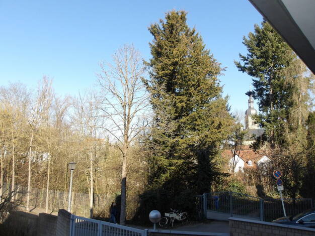 Wohnung zur Miete 475 € 1,5 Zimmer 42 m² Domberg Bamberg 96049