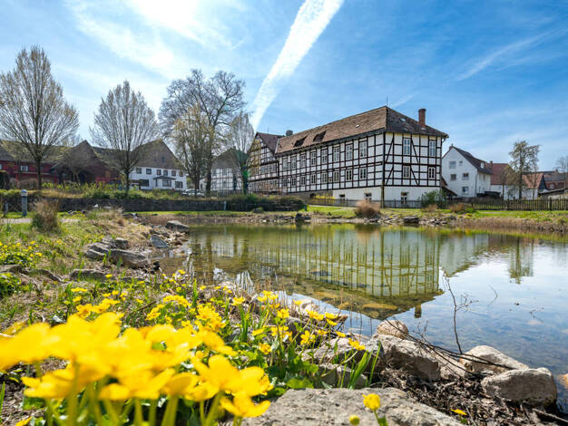 Hotel zum Kauf 425.000 € 11 Zimmer Ottenstein Ottenstein 31868