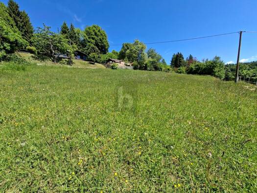 Grundstück zum Kauf 2.524 m² Grundstück Ludmannsdorf 9072