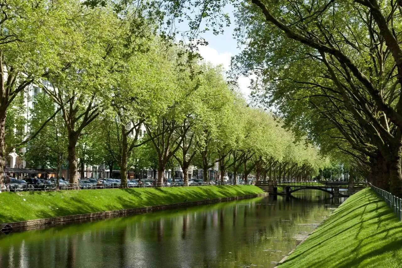 Property thumbnail 34