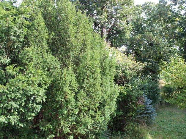 Wohnung zum Kauf provisionsfrei 599.000 € 4,5 Zimmer 110 m² Leitengasse Wien 1230