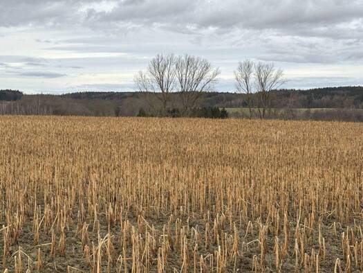 Land-/Forstwirtschaft zum Kauf 472.032 € 26.224 m² Grundstück Oberlauterbach Pfeffenhausen / Oberlauterbach 84076