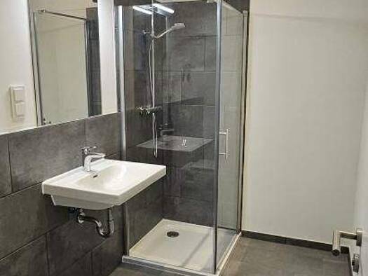 Wohnung zur Miete 188 € 1 Zimmer 25 m² Georgenpatz 1 Schedewitz Zwickau 08056