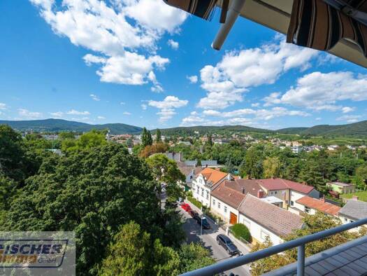 Wohnung zum Kauf 249.000 € 67,3 m² Baden 2500
