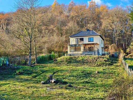 Einfamilienhaus zum Kauf 169.000 € 5 Zimmer 123,5 m² 1.480 m² Grundstück Kirn 55606