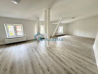 Wohnung zur Miete 650 € 1 Zimmer 46,4 m² Dachgeschoss, 3. Geschoss frei ab sofort Steinstraße 19 Paulsstadt Schwerin 19053