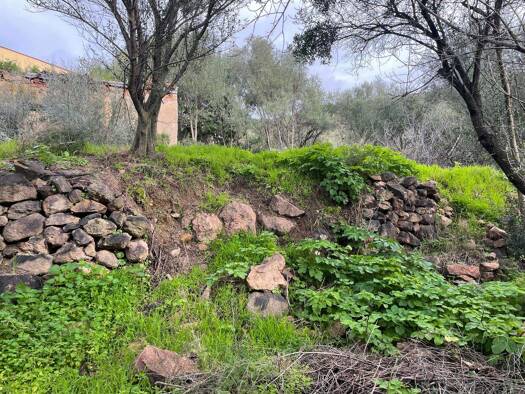 Grundstück zum Kauf 160.000 € 6.500 m² Grundstück Baugenehmigung vorhanden frei ab sofort Badesi 07030