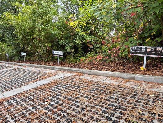 Stellplatz zur Miete provisionsfrei 23,80 € Aschenberg Fulda 36039