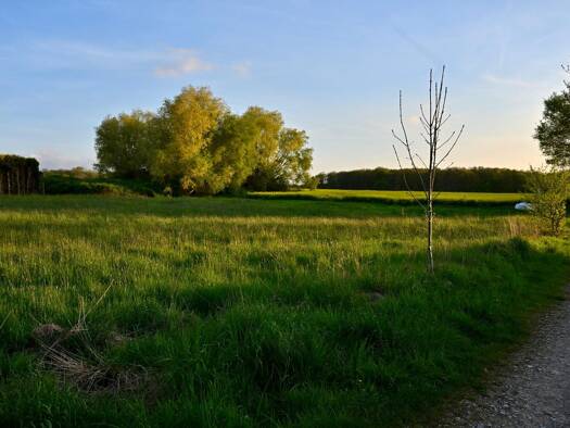 Grundstück zum Kauf Straße des Friedens Rosenhagen Dassow 23942