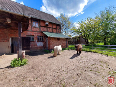 Mehrfamilienhaus zum Kauf 339.900 € 6 Zimmer 170 m² 6.584 m² Grundstück Hemeln Hannoversch Münden / Hemeln 34346