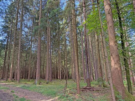Landwirtschaftliche Fläche zum Kauf 24.290 € 5.390 m² Grundstück Kottingwörth Kottingwörth Beilngries 92339