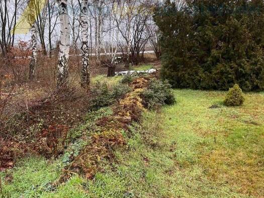 Grundstück zum Kauf 55.000 € 1.498 m² Grundstück Wrestedt 29559