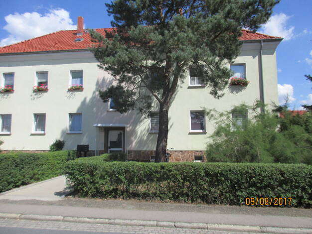 Wohnung zur Miete 357 € 2 Zimmer 51 m² EG Steinstraße 8 Bad Düben 04849