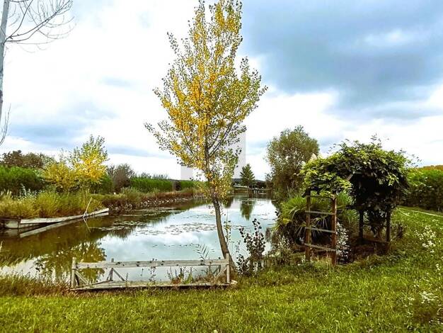 Grundstück zum Kauf 390.000 € 14.058 m² Grundstück Oslip 7064