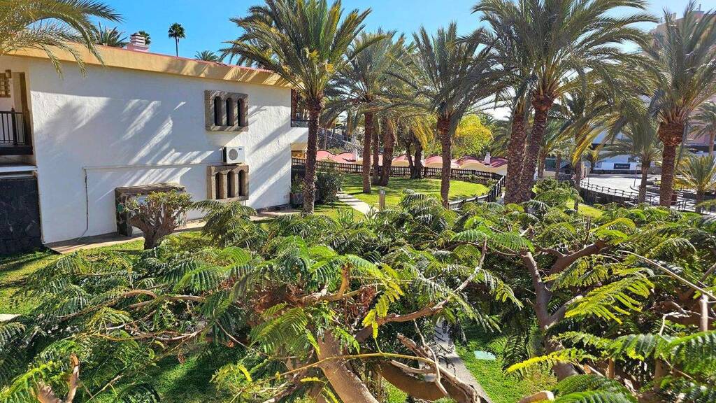 Studio zur Miete 1.200 € 1 Zimmer 55 m² 2 Geschosse frei ab 01.10.2026 Bahía Feliz 35100