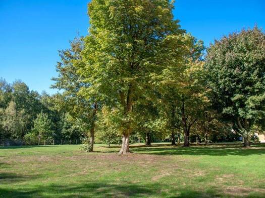 Wohnung zur Miete 539 € 3,5 Zimmer 66,7 m² EG Bachstelzenweg 25 Hamm Marl 45772