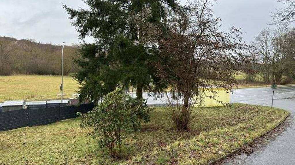 Grundstück zum Kauf 1.500 € 1.569 m² Grundstück Döhlau 95182