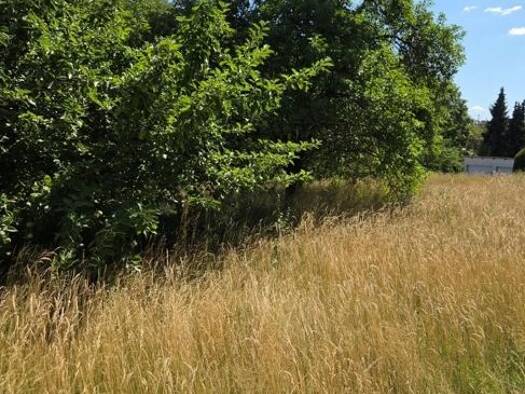 Grundstück zum Kauf 1.662 m² Grundstück Burglengenfeld Burglengenfeld 93133