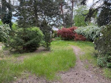 Grundstück zum Kauf 239.000 € 800 m² Grundstück Friedrich-Engels-Str. 32 Zernsdorf Königs Wusterhausen 15712