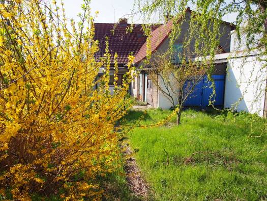 Haus zum Kauf provisionsfrei 129.000 € 4 Zimmer 116 m² 1.257 m² Grundstück frei ab sofort Frankfurt Frankfurt (Oder) 15234