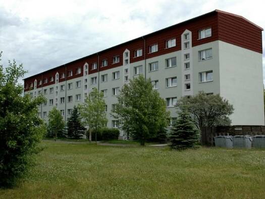 Wohnung zur Miete 230 € 1 Zimmer 31 m² 2. Geschoss frei ab sofort Waldstraße 16 Colditz 04680