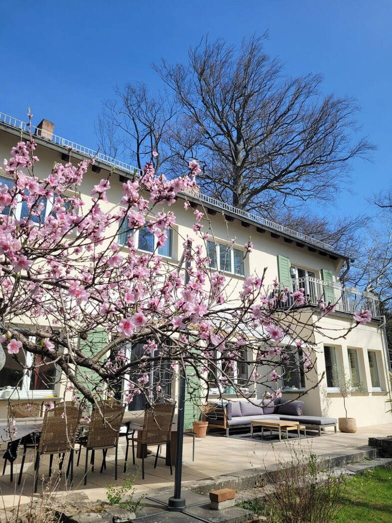 Villa zum Kauf provisionsfrei 1.950.000 € 8 Zimmer 240 m² 2.189 m² Grundstück Wannseestr. 14   14482 Potsdam Wannseestr. Klein Glienicke Potsdam 14482