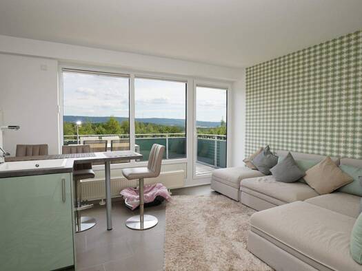 Wohnung zum Kauf 120.000 € 2 Zimmer 39,8 m² 2. Geschoss Kell am See 54427