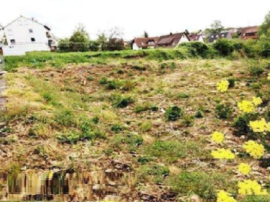 Grundstück zum Kauf als Kapitalanlage geeignet 4.100.000 € 13.600 m² Grundstück Teltow Teltow 14513