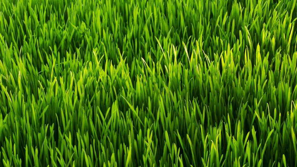 Grundstück zum Kauf 55.000 € 1.520 m² Grundstück Balatonszabadi 8651