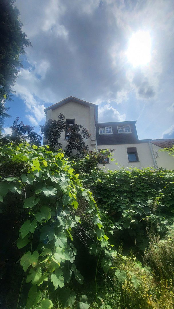 Mehrfamilienhaus zum Kauf provisionsfrei 725.000 € 8 Zimmer 207 m²<br/>Wohnfläche 604 m²<br/>Grundstück Rumpenheim Offenbach am Main 63075