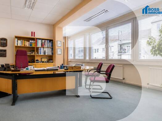 Büro zur Miete 1.767 € 5 Zimmer Rainerstraße 14 Linz Linz 4020