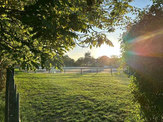 Reiterhof zum Kauf 60.000 m² 30.000 m² Grundstück Armsheim Spiesheim 55288