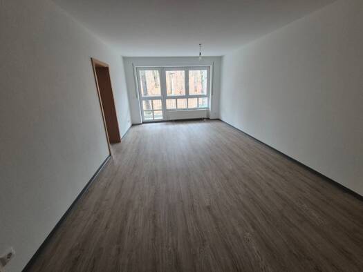 Wohnung zur Miete 500 € 2 Zimmer 68 m² frei ab sofort Preißelpöhl Plauen 08525
