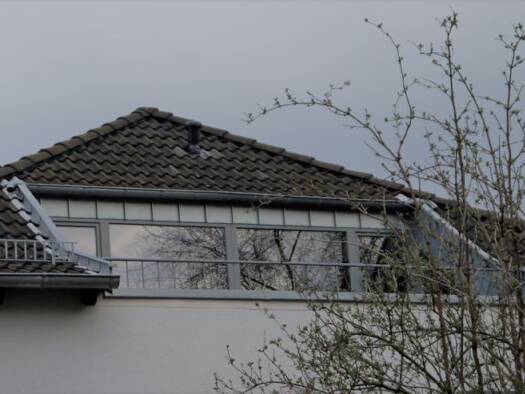 Terrassenwohnung zur Miete 1.040 € 2 Zimmer 62 m² Geschoss 2/3 frei ab 01.03.2026 Oberstadt Mainz 55131