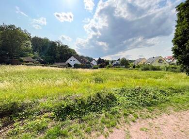 Grundstück zum Kauf 133.000 € 2.432 m² Grundstück Wettin Löbejün 06193