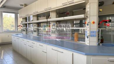 Büro-/Praxisfläche zur Miete 4 Zimmer 115 m² Bürofläche Am Technologiepark 1 Kolkwitz Kolkwitz 03099