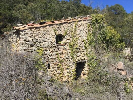 Acker-/Waldstück zum Kauf 360.000 € Vilaplana 43380