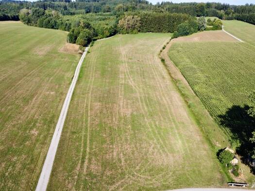 Land-/Forstwirtschaft zum Kauf 270.000 € 30.464 m² Grundstück Unterkammlach Kammlach 87754