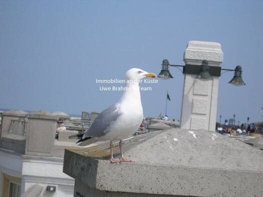 Wohnung zum Kauf 2.561.000 € 30 Zimmer 746 m² Leer (Ostfriesland) 26789