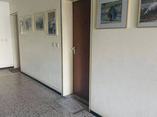 Wohnung zur Miete 550 € 1 Zimmer 34 m² Geschoss EG/1 frei ab sofort Greuther Straße 70 Katzwang Nürnberg 90455