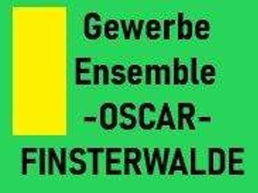 Bürofläche zur Miete provisionsfrei 1.493 € 12 Zimmer 248,8 m² Bürofläche Oscar Kjellberg Str. 15 Finsterwalde 03238