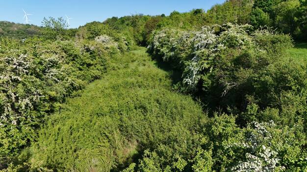 Freizeitgrundstück zum Kauf 25.000 € 8.397 m² Grundstück honzrather strasse Merchingen Merzig 66663