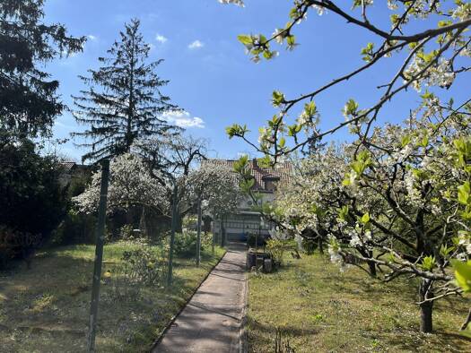 Sonstiges zum Kauf 825.000 € 7 Zimmer 93 m² 1.404 m² Grundstück Gartenstadt Mannheim 68305