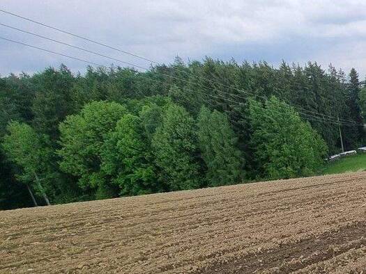 Land-/Forstwirtschaft zum Kauf 184.666 m² Grundstück Altötting 84503